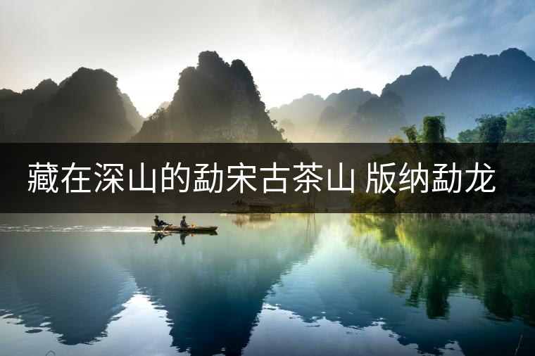 藏在深山的勐宋古茶山 版納勐龍小勐宋古樹普洱茶 藏在深山的勐宋古茶山 版納勐龍小勐宋古樹普洱茶