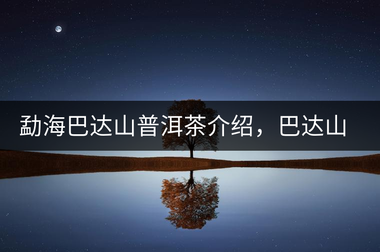 勐海巴達(dá)山普洱茶介紹，巴達(dá)山古樹茶口感特點