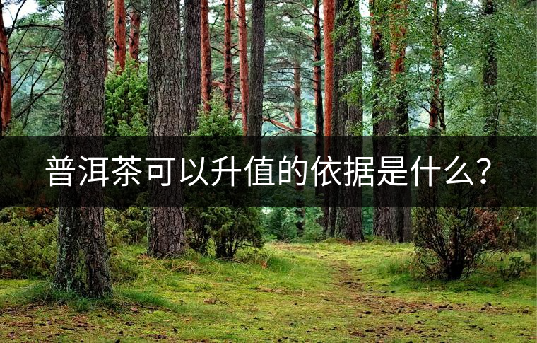 普洱茶可以升值的依據(jù)是什么？