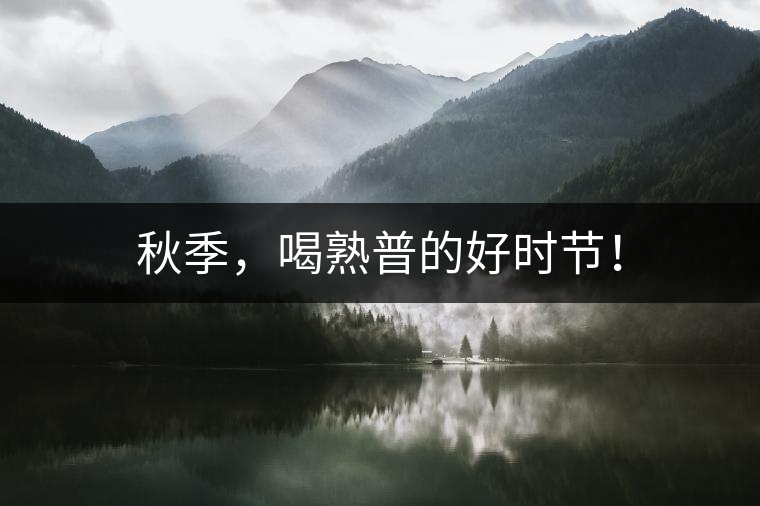 秋季，喝熟普的好時節(jié)！