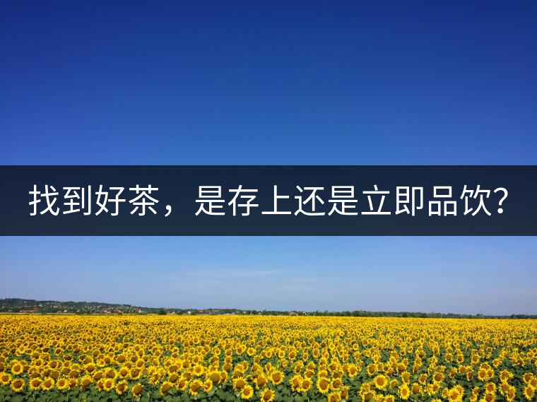 找到好茶，是存上還是立即品飲？