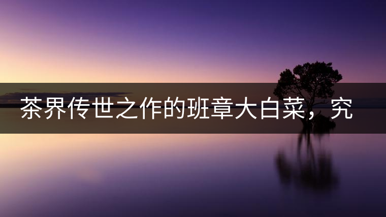 茶界傳世之作的班章大白菜，究竟有什么大來頭？