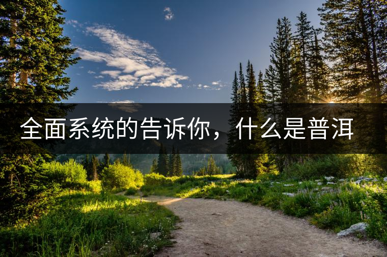 全面系統(tǒng)的告訴你，什么是普洱茶