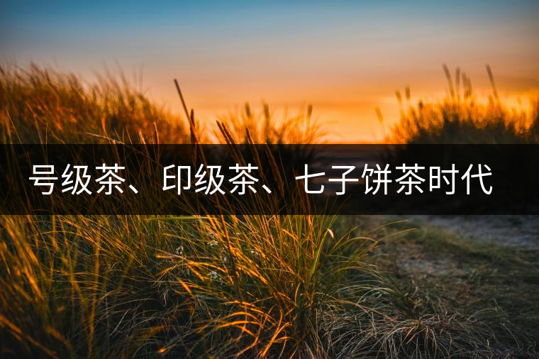 號級茶、印級茶、七子餅茶時代是怎么劃分的？