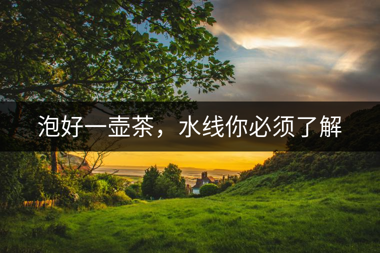 泡好一壺茶，水線你必須了解