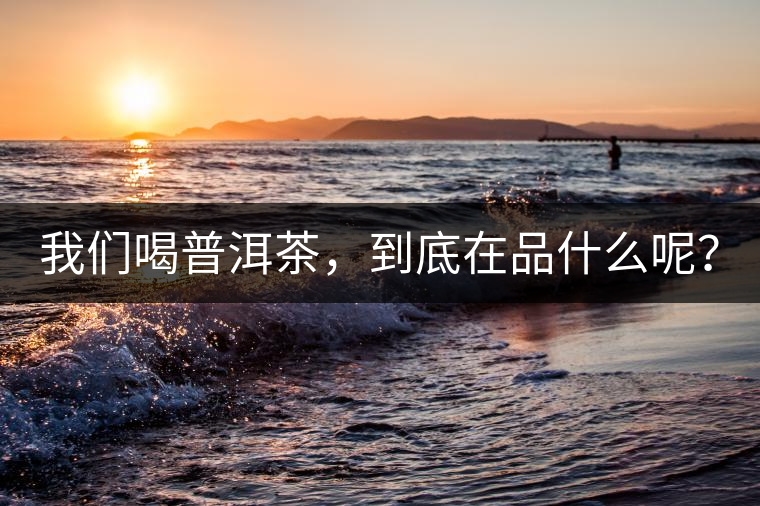 我們喝普洱茶，到底在品什么呢？