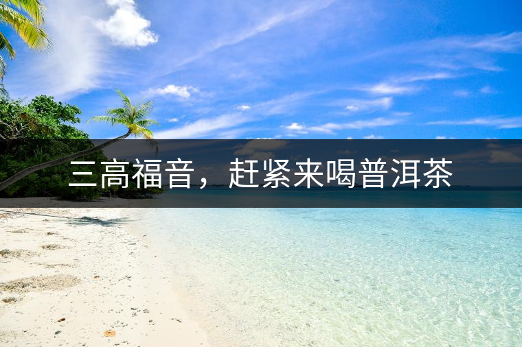 三高福音，趕緊來喝普洱茶