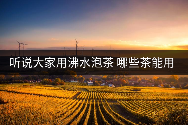 聽(tīng)說(shuō)大家用沸水泡茶 哪些茶能用沸水泡 聽(tīng)說(shuō)大家用沸水泡茶 哪些茶能用沸水泡