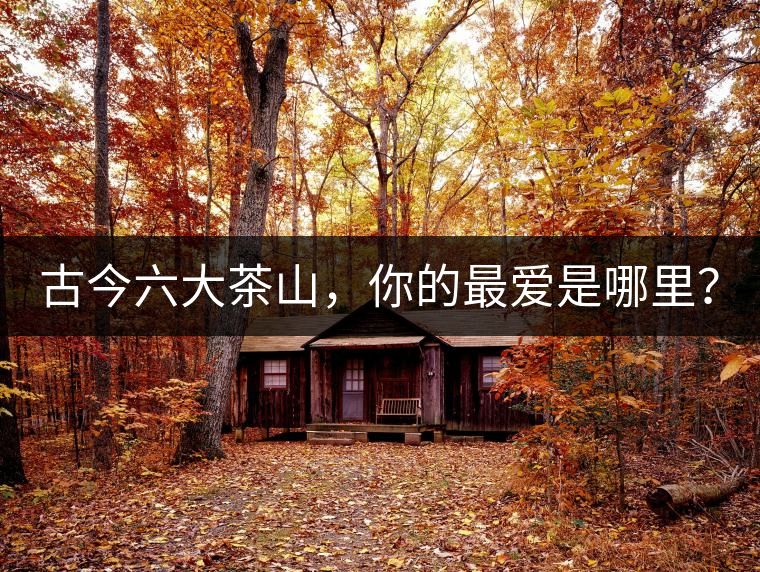 古今六大茶山，你的最?lèi)?ài)是哪里？