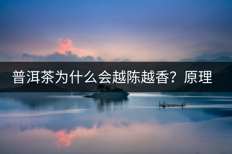 普洱茶為什么會(huì)越陳越香？原理是什么？