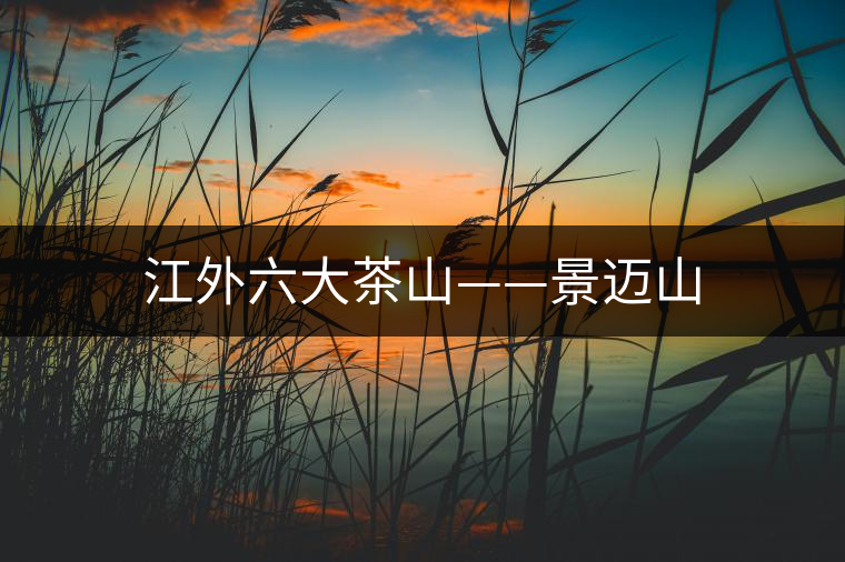 江外六大茶山——景邁山