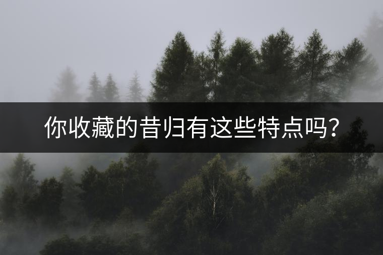 你收藏的昔歸有這些特點(diǎn)嗎？