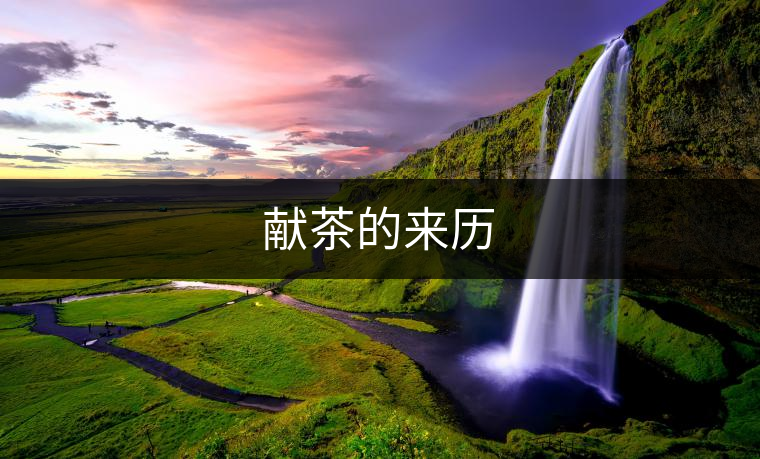 獻(xiàn)茶的來歷