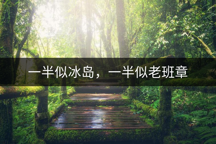 一半似冰島,一半似老班章 一半似冰島,一半似老班章