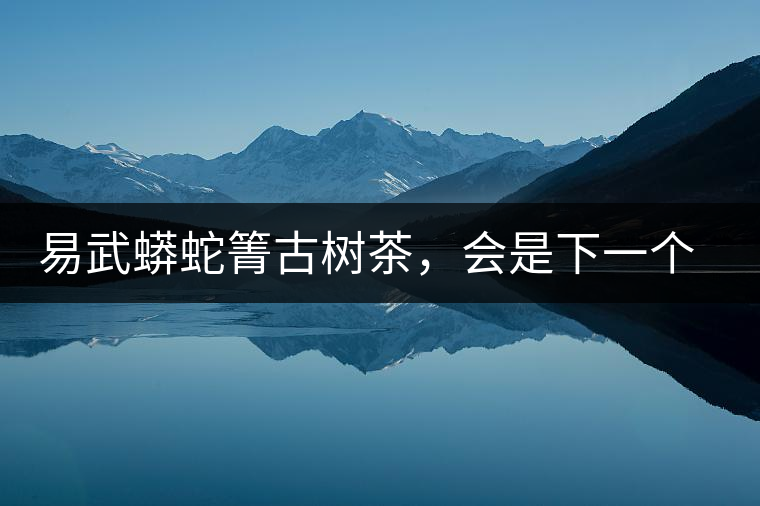 易武蟒蛇箐古樹茶，會是下一個(gè)銅箐河嗎？