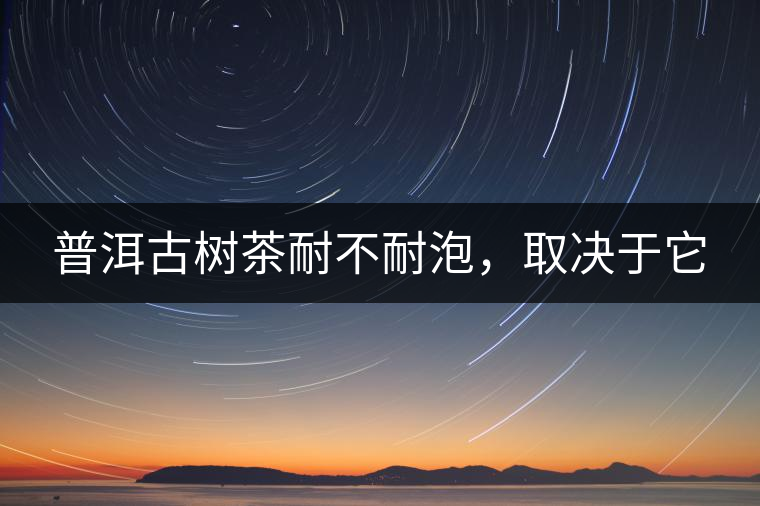 普洱古樹茶耐不耐泡，取決于它