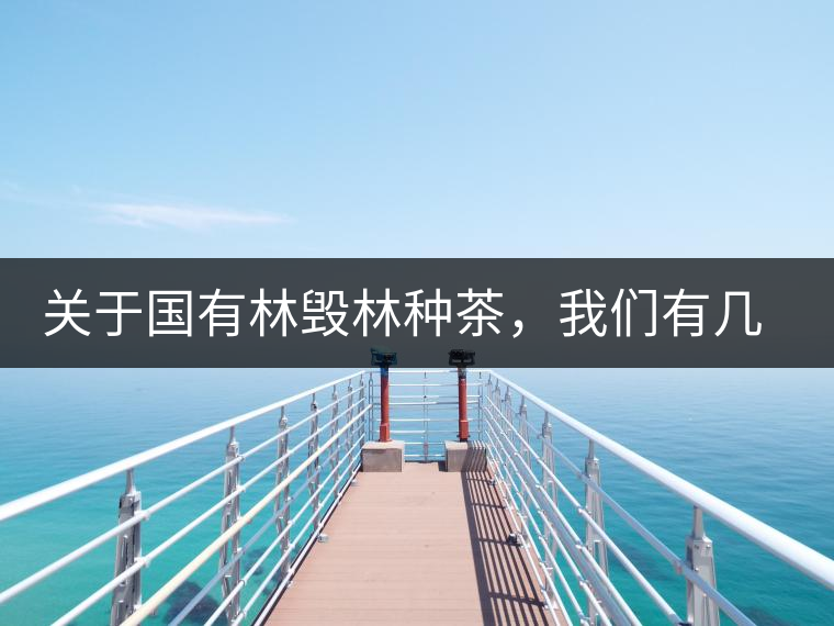 關(guān)于國(guó)有林毀林種茶，我們有幾點(diǎn)不得不說(shuō)