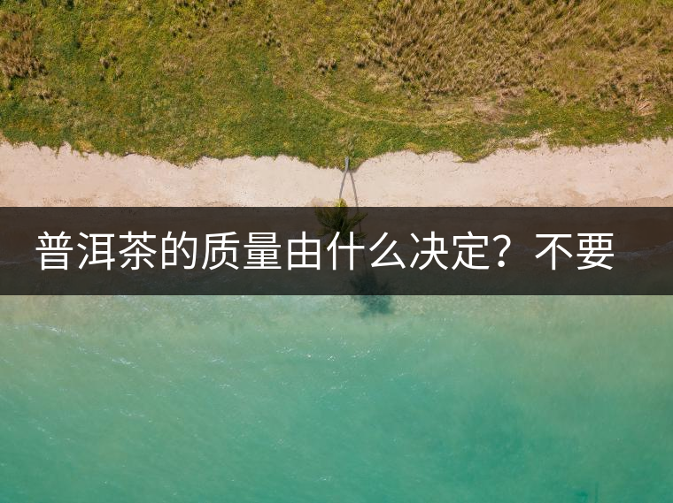 普洱茶的質量由什么決定？不要輕信等級