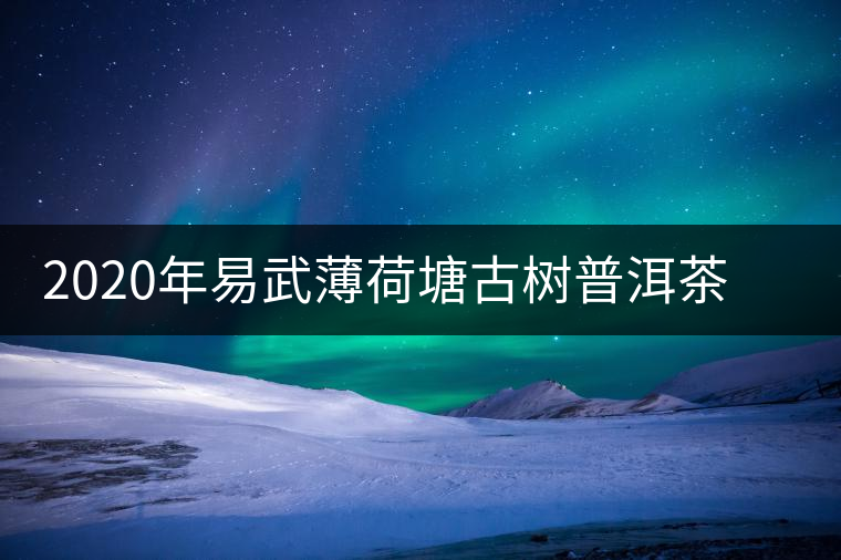 2020年易武薄荷塘古樹普洱茶特點(diǎn)，價(jià)格又上漲了嗎？