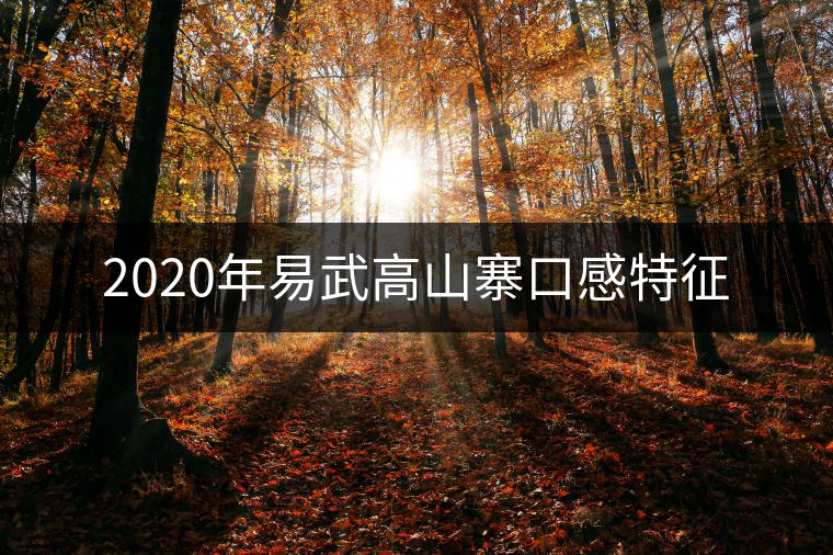 2020年易武高山寨口感特征 2020年易武高山寨口感特征
