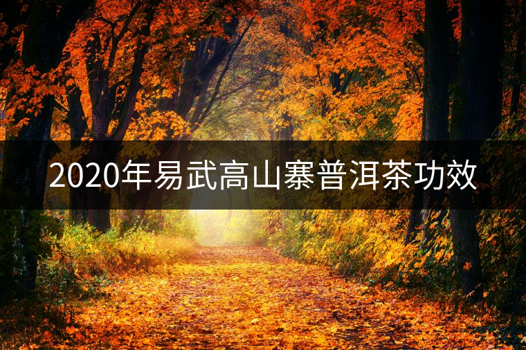 2020年易武高山寨普洱茶功效