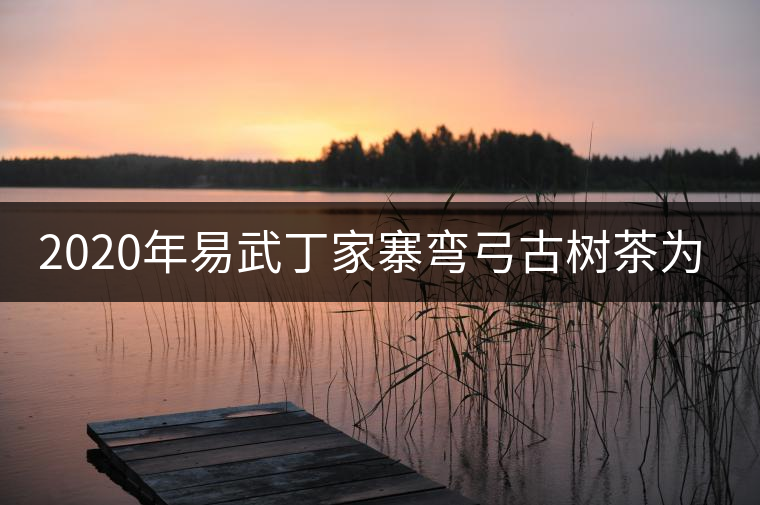 2020年易武丁家寨彎弓古樹茶為什么這么受追捧！