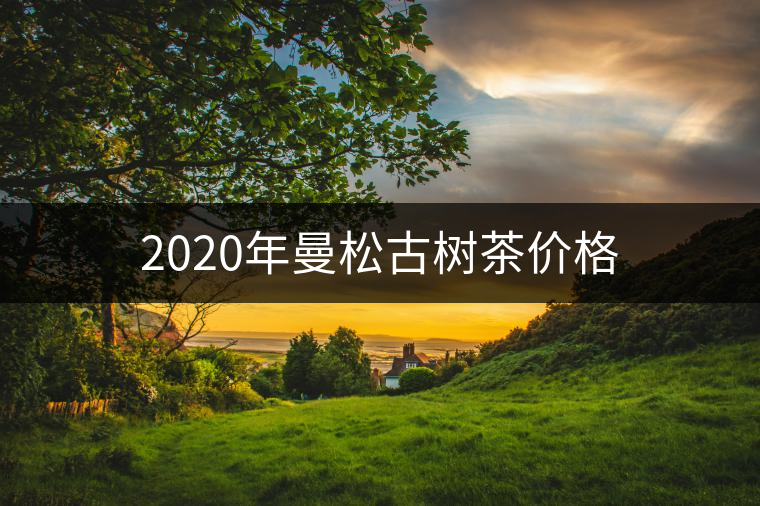 2020年曼松古樹茶價格 2020年曼松古樹茶價格