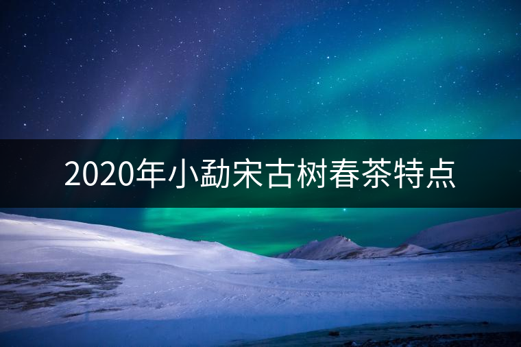 2020年小勐宋古樹(shù)春茶特點(diǎn) 2020年小勐宋古樹(shù)春茶特點(diǎn)