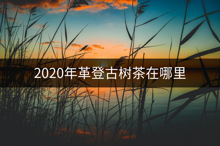 2020年革登古樹茶在哪里