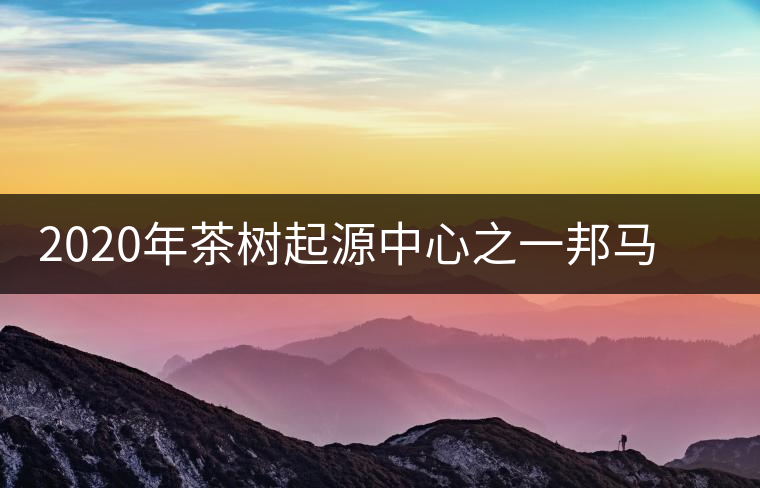 2020年茶樹起源中心之一邦馬大雪山上有哪些神秘的村寨？