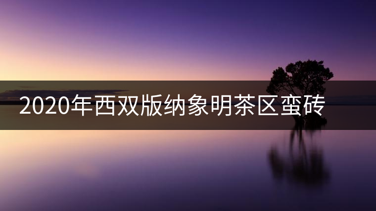 2020年西雙版納象明茶區(qū)蠻磚古茶山特點(diǎn)介紹 2020年西雙版納象明茶區(qū)蠻磚古茶山特點(diǎn)介紹
