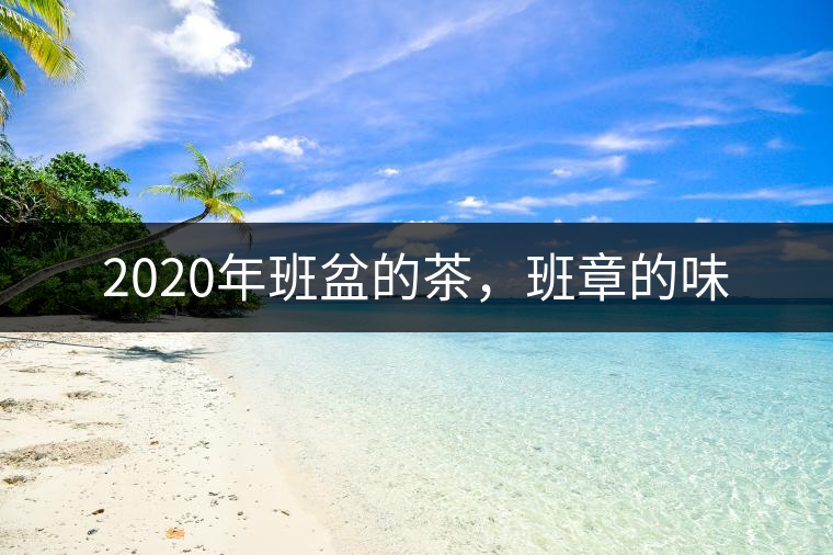 2020年班盆的茶，班章的味
