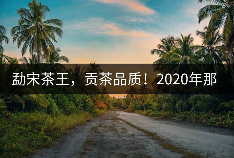 勐宋茶王，貢茶品質(zhì)！2020年那卡古樹青餅悠然而至！