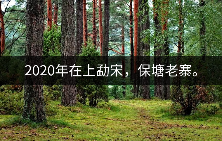 2020年在上勐宋，保塘老寨。