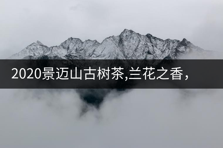 2020景邁山古樹茶,蘭花之香，自然之味