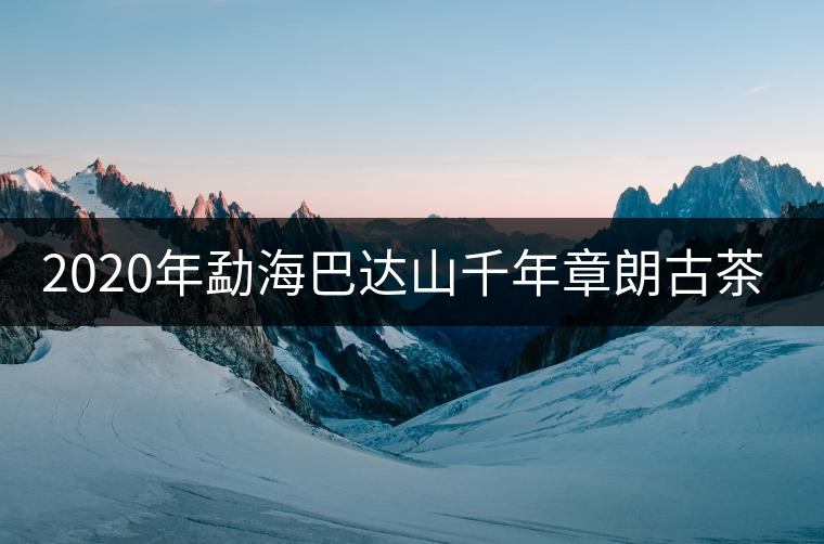 2020年勐海巴達山千年章朗古茶園