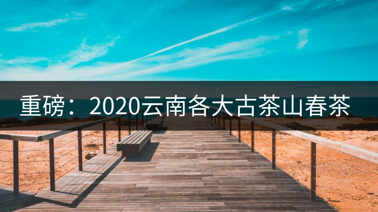 重磅:2020云南各大古茶山春茶價格發(fā)布 重磅:2020云南各大古茶山春茶價格發(fā)布