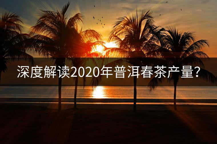 深度解讀2020年普洱春茶產(chǎn)量？