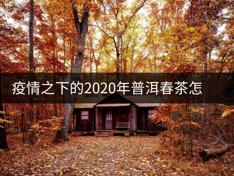 疫情之下的2020年普洱春茶怎么辦？春天會(huì)遲到，但一定會(huì)來