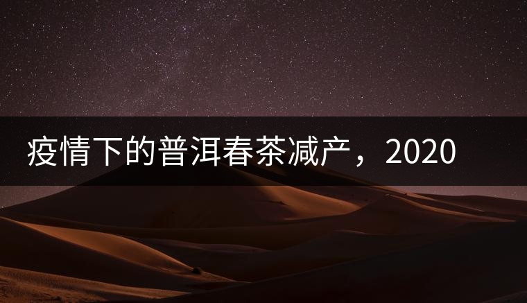 疫情下的普洱春茶減產(chǎn)，2020年價(jià)格“兩極分化”或成常態(tài)？