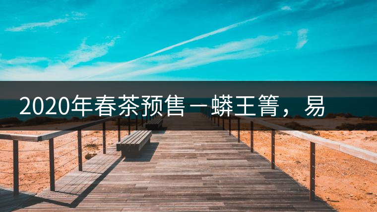 2020年春茶預(yù)售－蟒王箐，易武一個(gè)蟒蛇出沒的地方