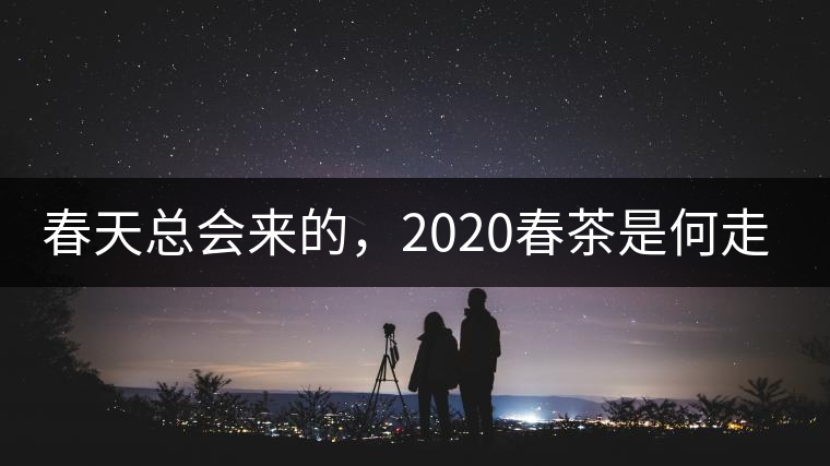 春天總會來的，2020春茶是何走勢？