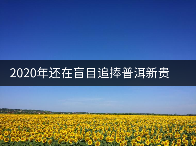 2020年還在盲目追捧普洱新貴“貓耳朵”？我們深入產(chǎn)區(qū)為你揭示最真實(shí)的“貓耳朵”！