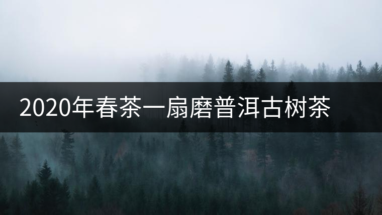 2020年春茶一扇磨普洱古樹(shù)茶價(jià)格是多少錢(qián)一斤 2020年春茶一扇磨普洱古樹(shù)茶價(jià)格是多少錢(qián)一斤