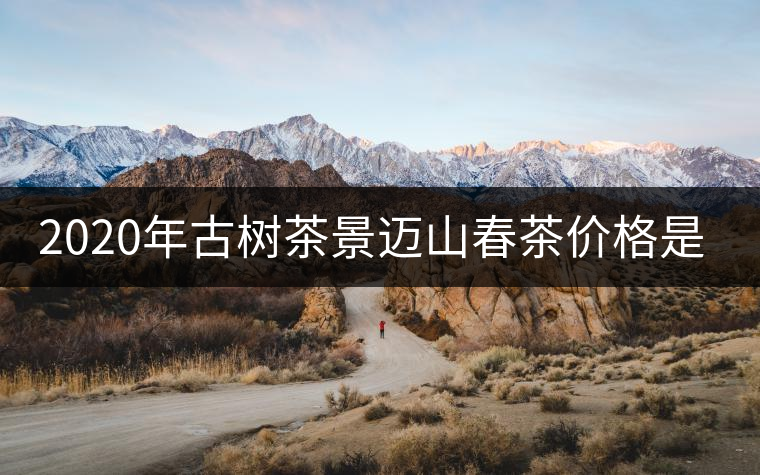 2020年古樹茶景邁山春茶價格是多少？