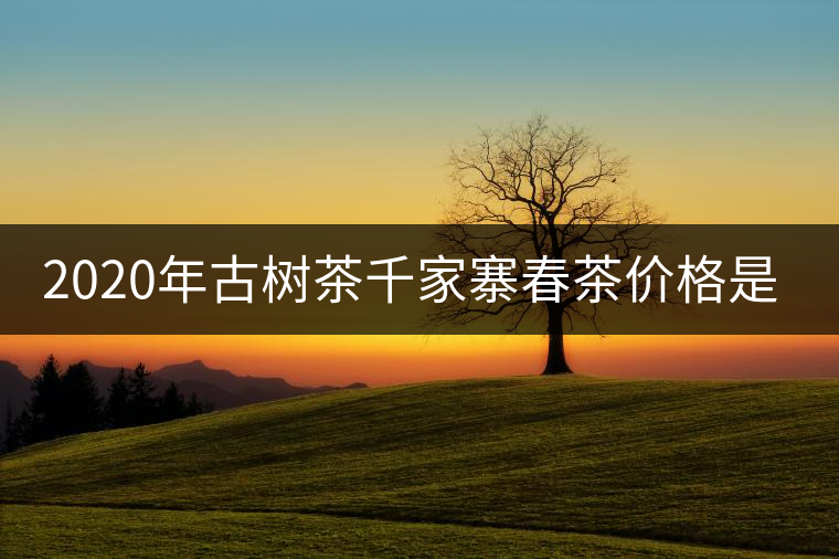 2020年古樹茶千家寨春茶價格是多少？