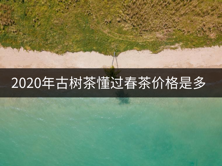 2020年古樹茶懂過春茶價格是多少？