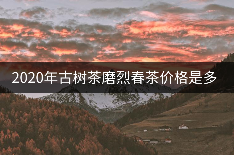 2020年古樹茶磨烈春茶價格是多少？
