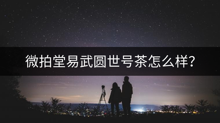 微拍堂易武圓世號(hào)茶怎么樣？