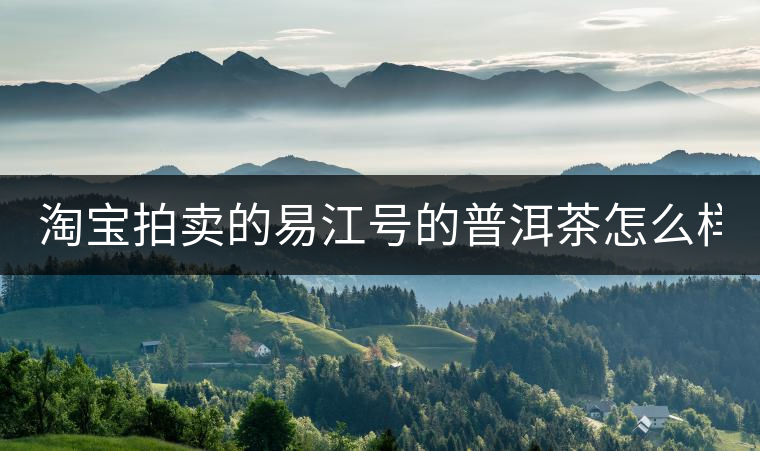 淘寶拍賣的易江號的普洱茶怎么樣？